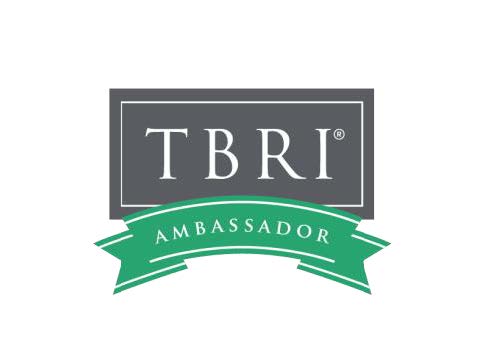 TBRI Ambassador Brand Standards_201118